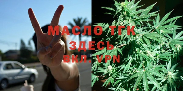 сатива Пересвет