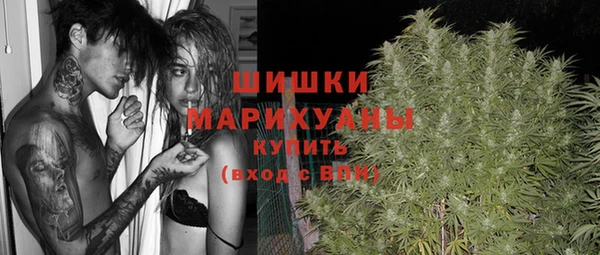 амф Переславль-Залесский