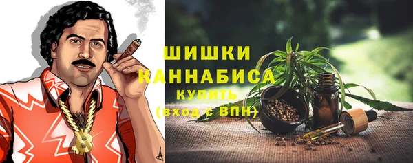 сатива Пересвет