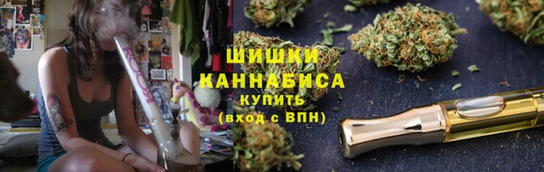 дживик Гусь-Хрустальный