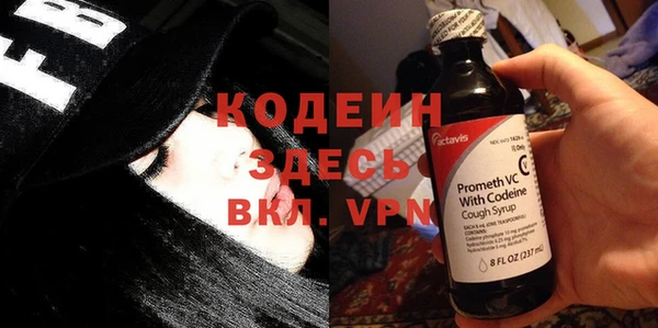 сатива Пересвет