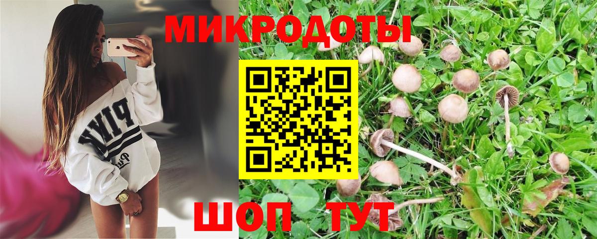 Краснокамск  где продают   Вход с VPN  Галлюциногенные грибы мухоморы 
