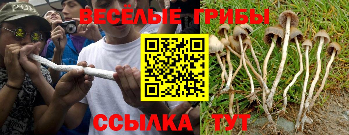 Псилоцибиновые грибы Magic Shrooms Краснокамск